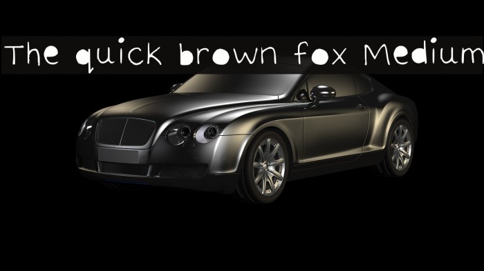 The quick brown fox Medium Example 2