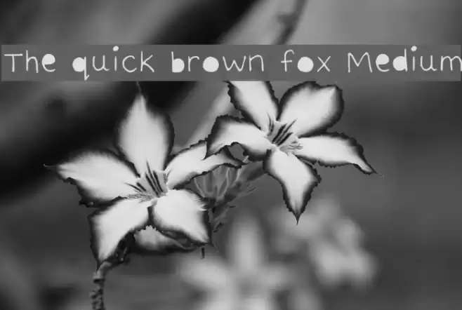 The quick brown fox Medium Font examples