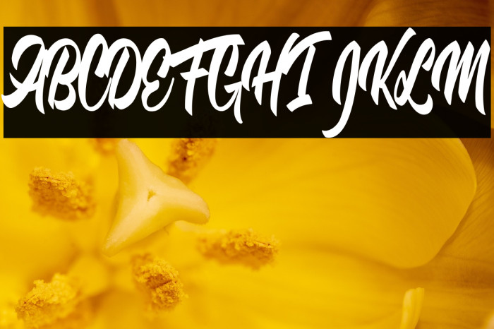 The quick fox Example 1