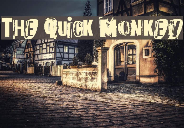 The quick monkey Font examples