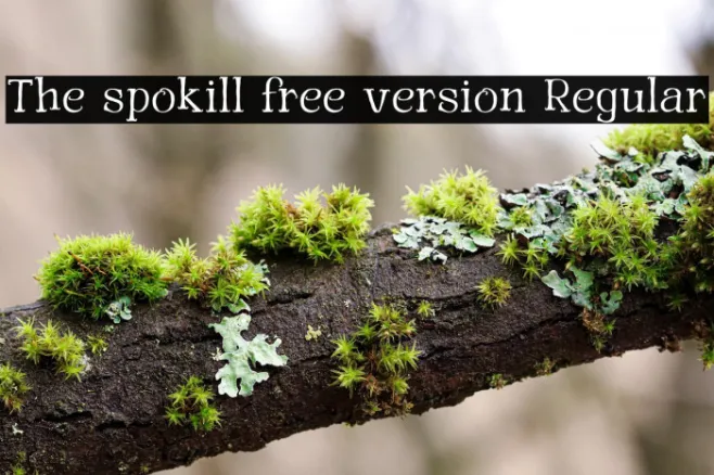 The spokill free version Regular Example 3