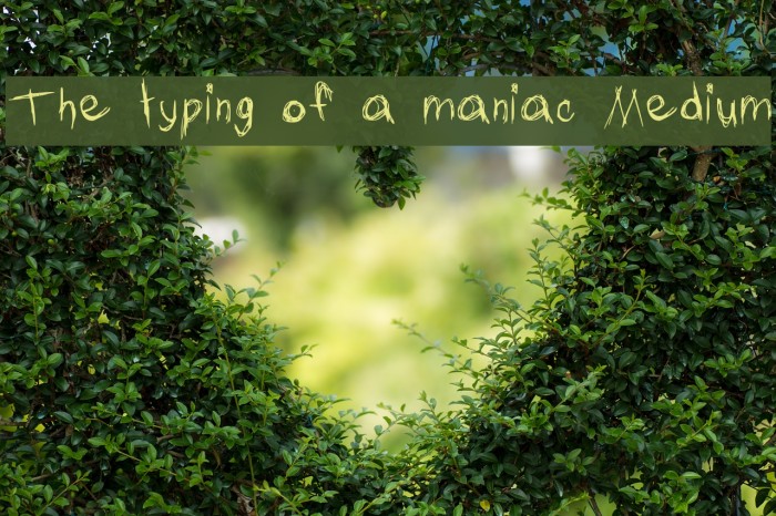 The typing of a maniac Medium Font examples