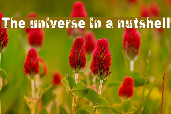 The universe in a nutshell Font examples