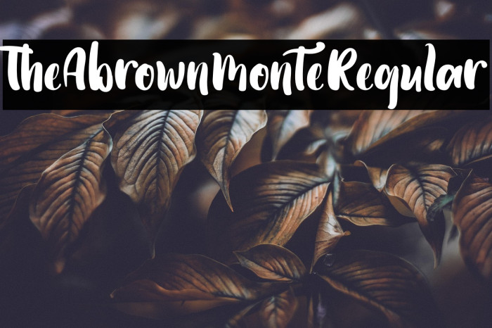 TheAbrownMonteRegular Example 3