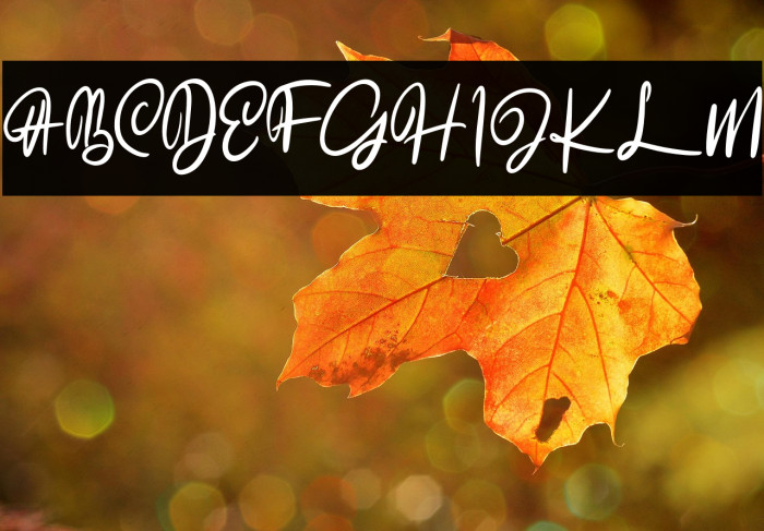 TheAkrageFREE Example 1