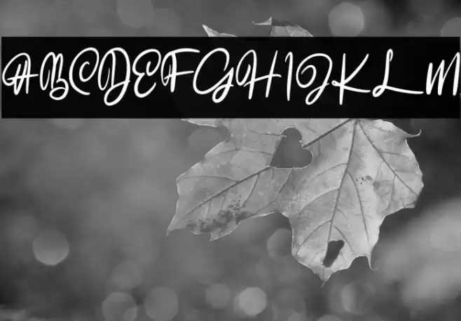 TheAkrageFREE Font examples