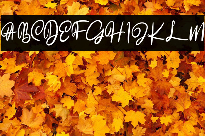 TheAkrageFREE Example 2