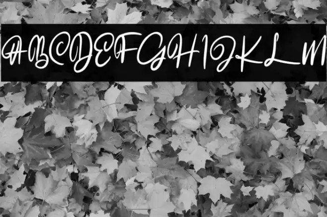 TheAkrageFREE Font examples