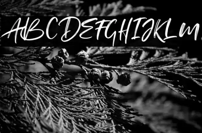 TheAndallass Font examples