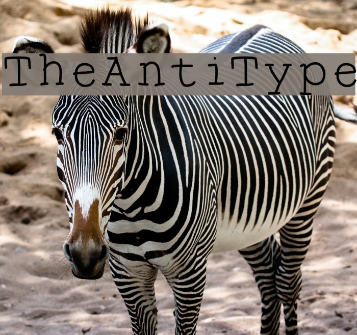 TheAntiType Font examples
