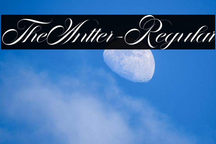 TheAntter-Regular Example 1