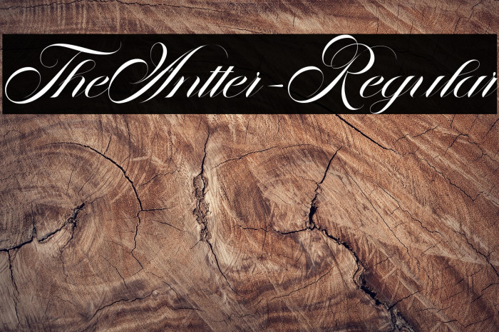 TheAntter-Regular Example 2