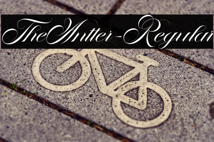 TheAntter-Regular Example 3