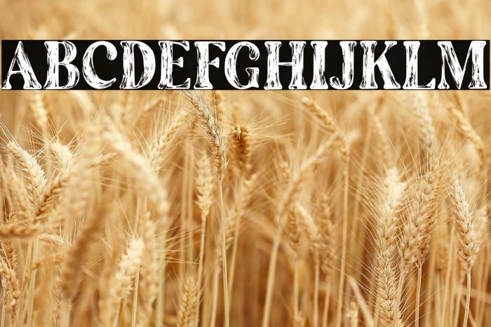 TheArtisanMarkerSerif-Regular Example 1