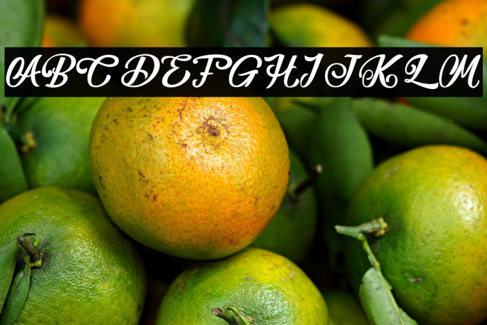 TheAthalita Example 3