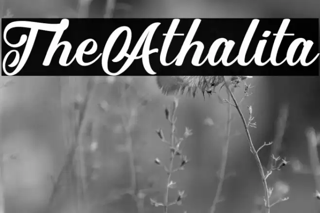 TheAthalita Font examples