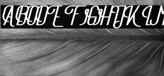 TheAthletica Font examples