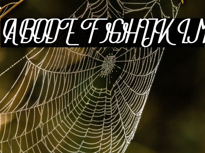 TheAthletica Example 3