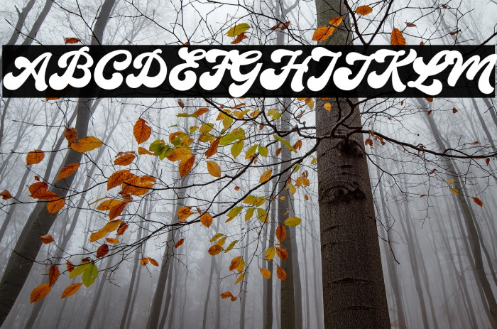 TheAuratypeDEMO-Regular Example 2