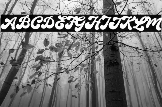 TheAuratypeDEMO-Regular フォント examples