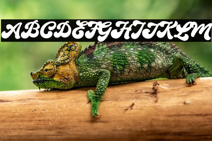 TheAuratypeDEMO-Regular Example 3