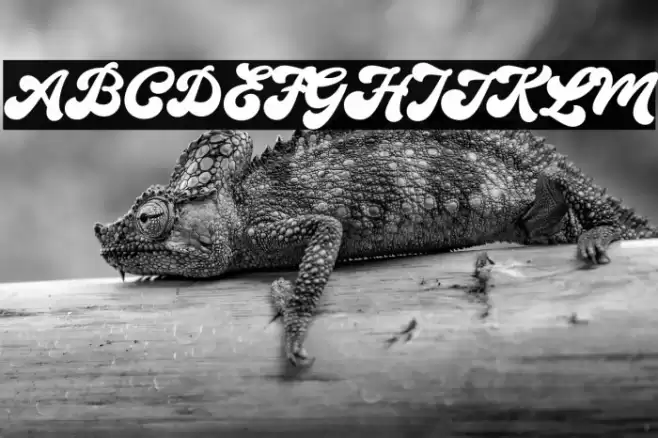 TheAuratypeDEMO-Regular フォント examples