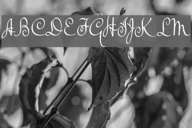 TheBeatGoesOn Font examples