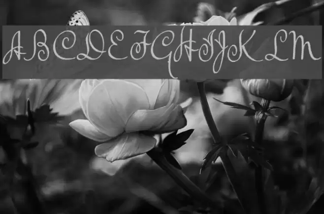 TheBeatGoesOn Font examples