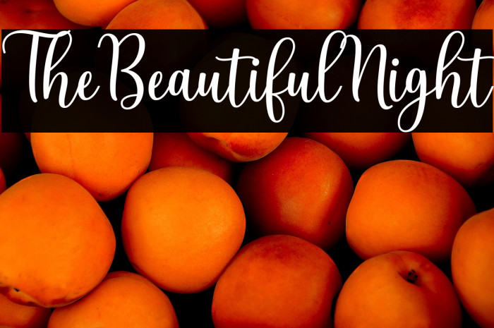 TheBeautifulNight Example 1