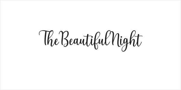 TheBeautifulNight Logo