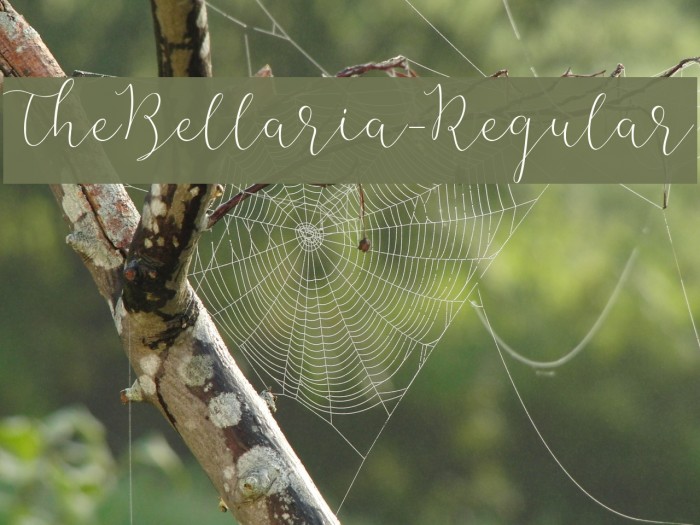TheBellaria-Regular Example 3