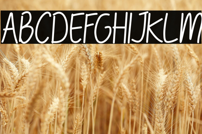 TheBillieMonlly DEMO Sans Example 1