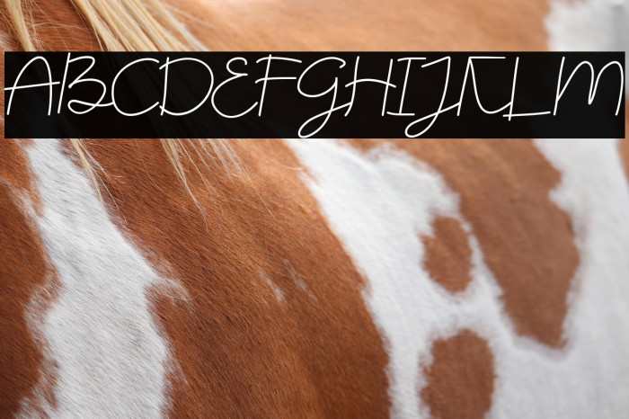 TheBillieMonlly DEMO Example 2