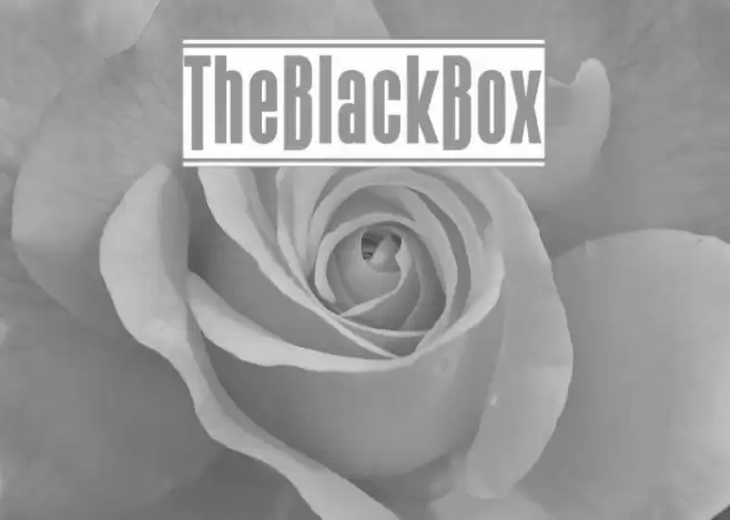 TheBlackBox Font examples