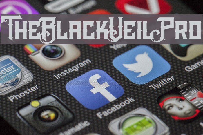 TheBlackVeilPro Example 1