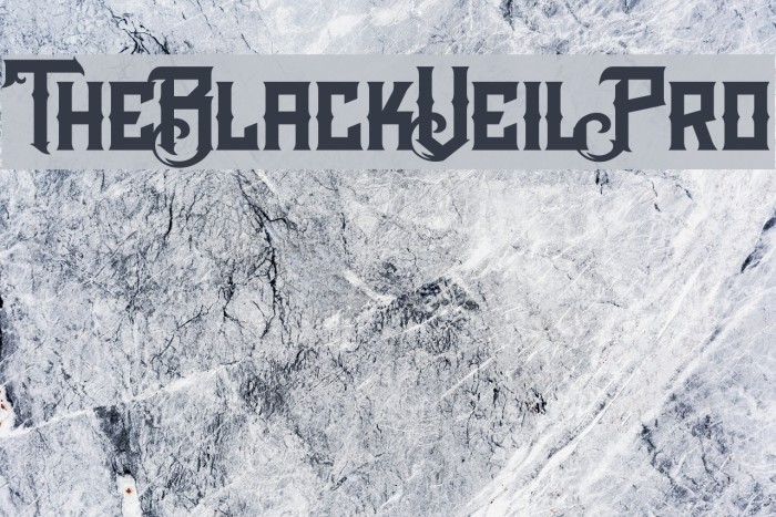 TheBlackVeilPro Example 2