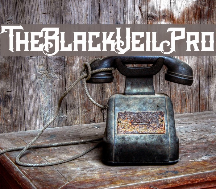 TheBlackVeilPro Example 3