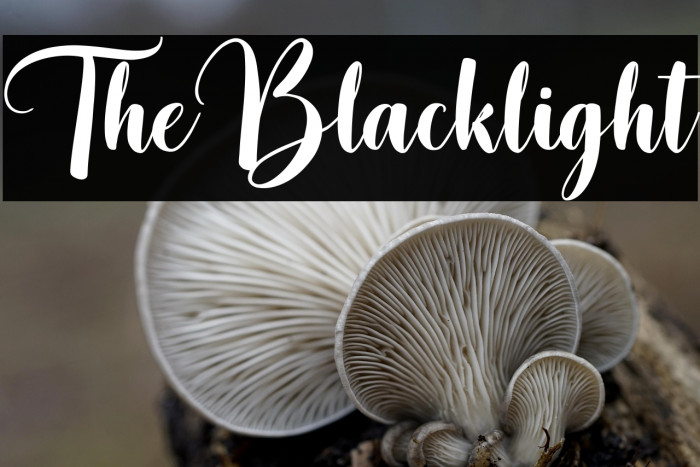 TheBlacklight Example 1