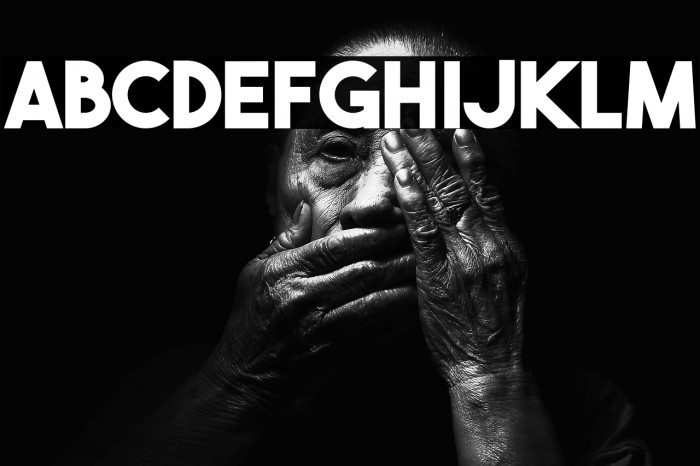 TheBoldFont-Bold Example 2