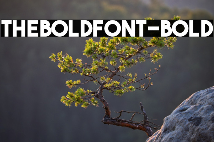 TheBoldFont-Bold Example 1