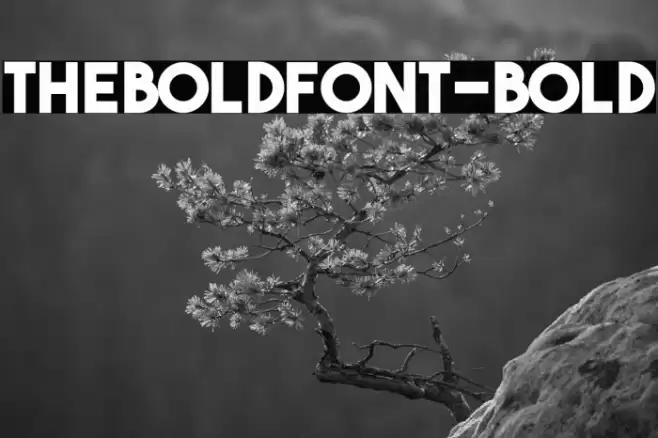 TheBoldFont-Bold Font examples