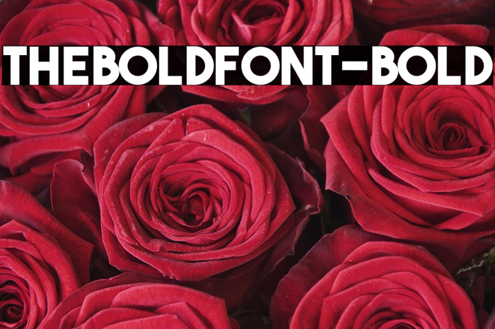 TheBoldFont-Bold Example 3