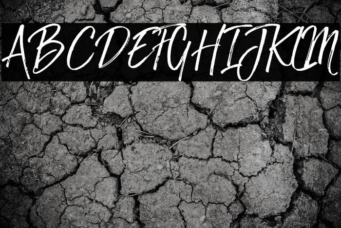 TheBraggest-Demo Example 1