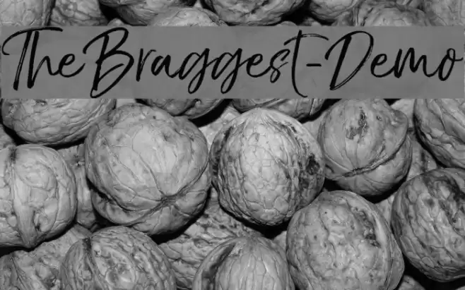 TheBraggest-Demo خط examples