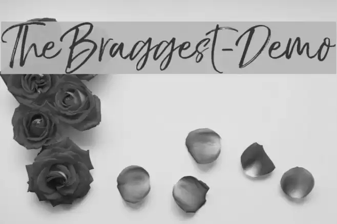 TheBraggest-Demo خط examples