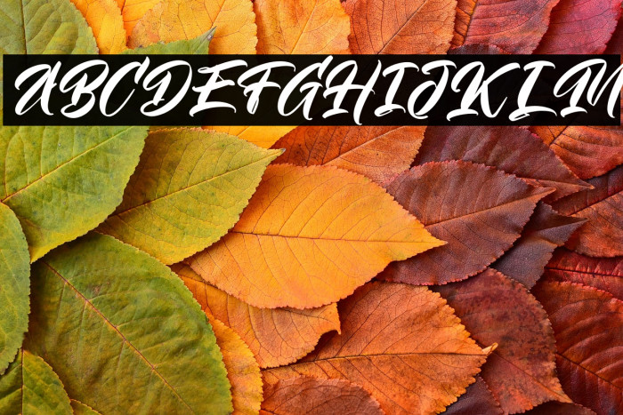 TheBraveFREE Example 2