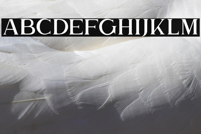 TheBrittanySerif2 Example 1