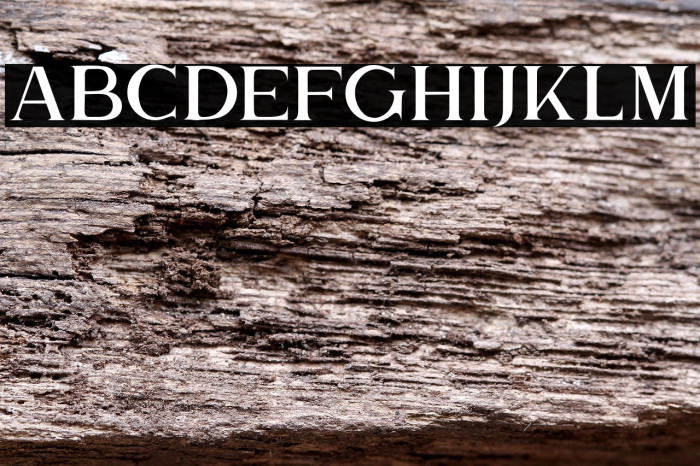 TheBrittanySerif2 Example 2