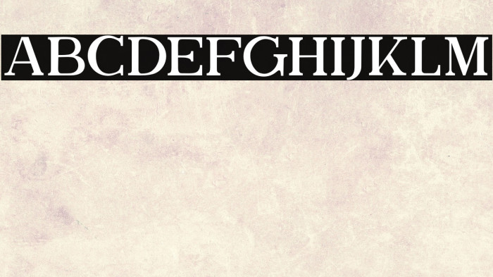 TheBrittanySerif Example 2