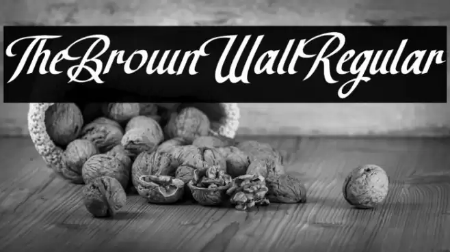 TheBrownWallRegular Font examples